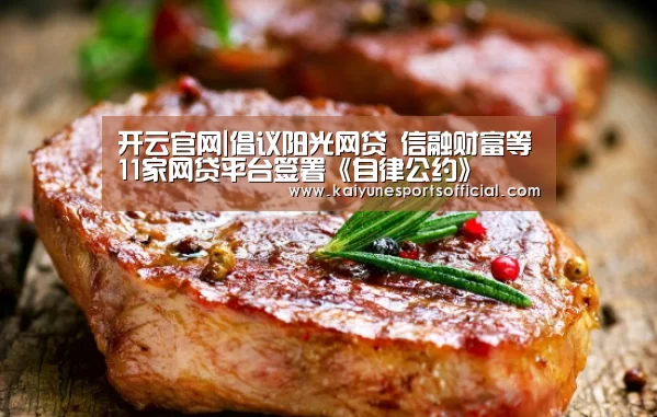 开云官网|倡议阳光网贷 信融财富等11家网贷平台签署《自律公约》(图2) 开云官网|倡议阳光网贷 信融财富等11家网贷平台签署《自律公约》(图2)