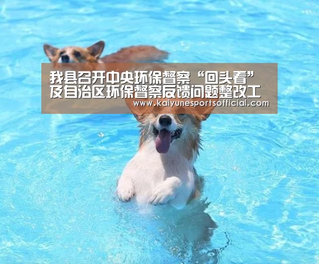 开云电竞